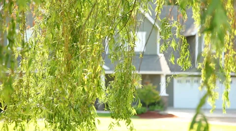 Kids with lemonade stand Stock Footage 61658437