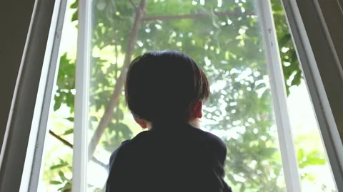 Kids Looking at the tree Through Window Stock Footage 201871489