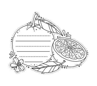 Kids memo note frame, sticker label, orange fruit Stock Illustration