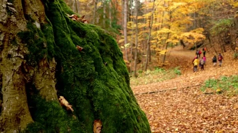 Kids at mountain Stock Footage 69054278