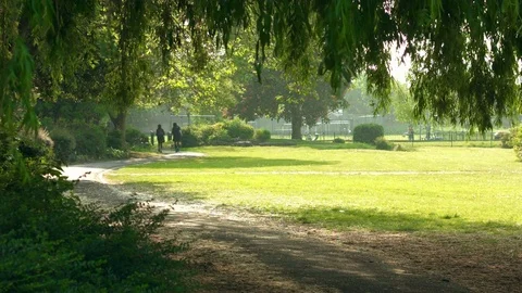 Kids in Park Stock Footage 76105259