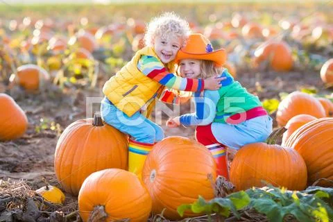 Kids picking pumpkins on Halloween pumpkin patch Stock Photos