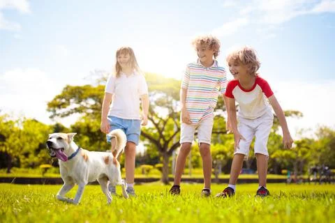 Kids play with dog. Children and puppy run in park Stock Photos