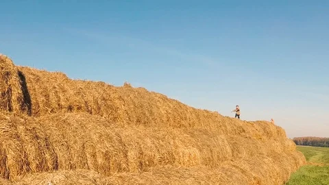 Kids play in a stack of straw. Stock Footage 97043930