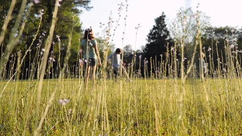 Kids playing ball outside, selective focus on flowers and grass. Stock Footage 108806594