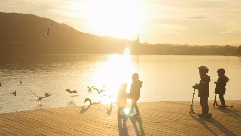 Kids playing with birds swan and seagull in lake with golden light silhouette Stock Footage