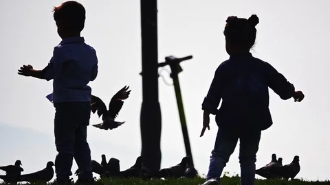 Kids Playing With The Doves Stock Footage 117793361