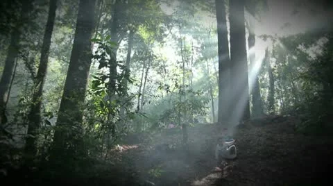 Kids playing in the Forest 動画素材 8979228