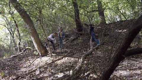 Kids playing in the forest Stock Footage 119104999