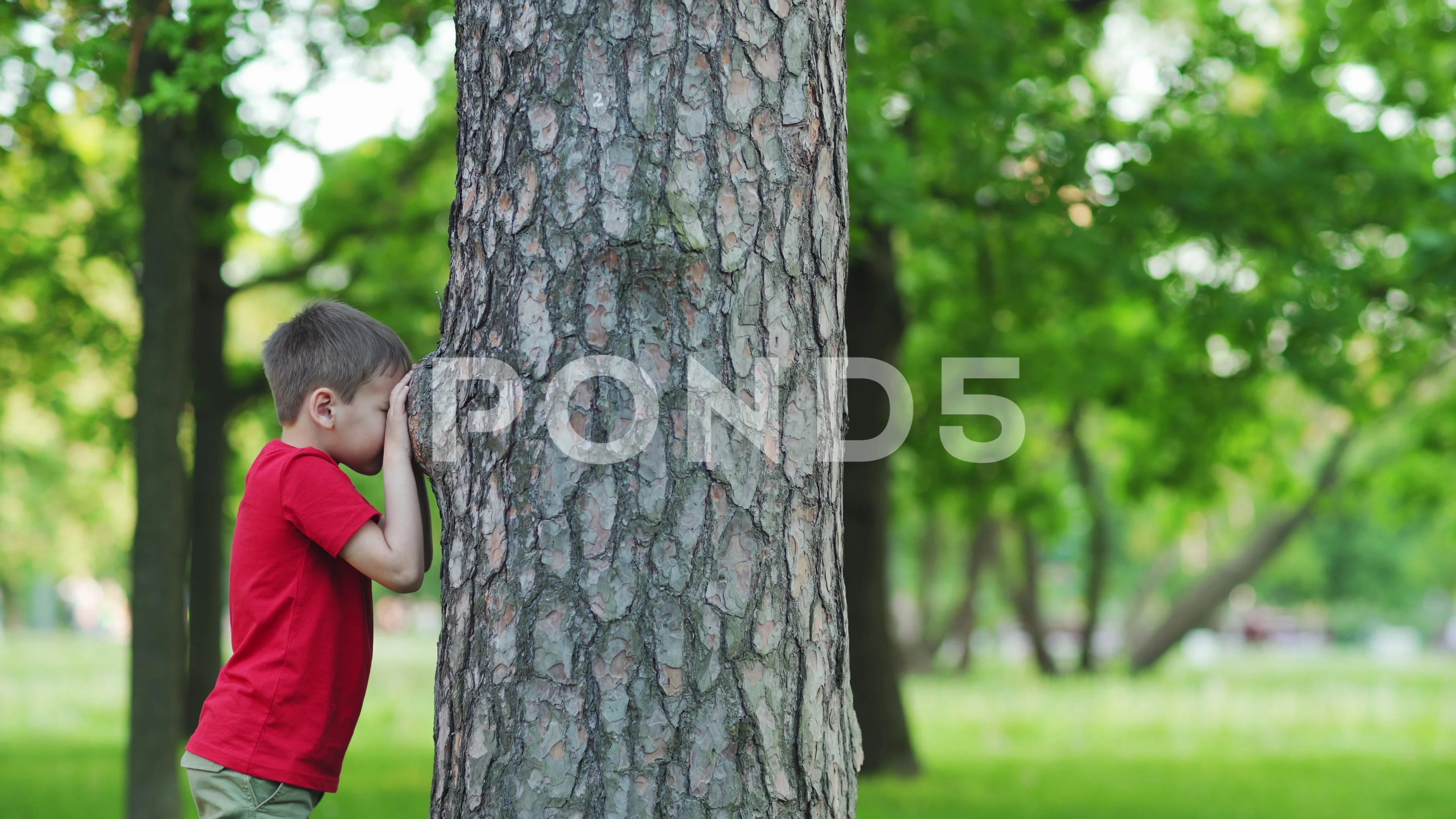 Hide and Seek at the Park