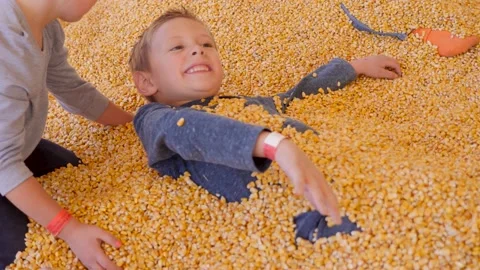 Kids Playing With Kernels In A Corn Box Video stock 135607940