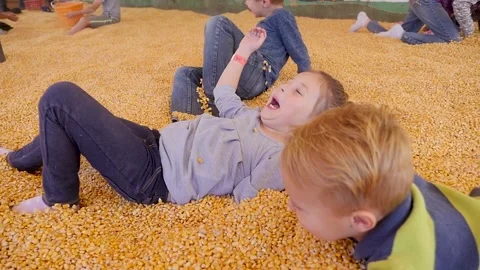 Kids Playing With Kernels Inside A Corn Box Stock Footage 135608011