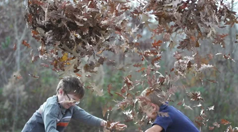 Kids Playing Leaves Stock Footage 33064183