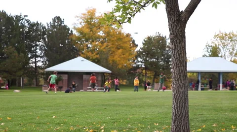 Kids Playing in Park Stockbeeldmateriaal 66366154