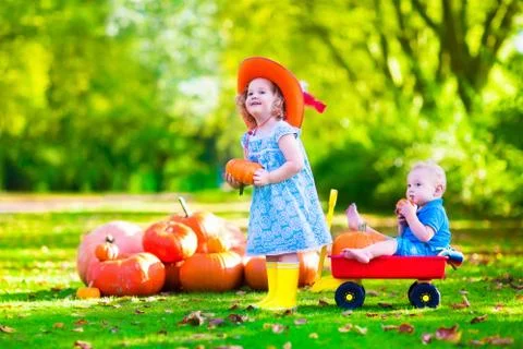 Kids playing at pumpkin patch Foto stock