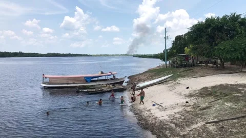 Kids playing in the river Stock Footage 296449262