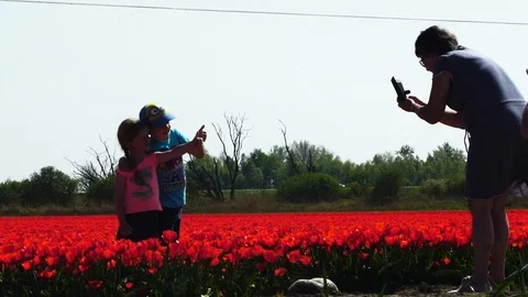Kids posed for picture between tulips Video stock 88987674