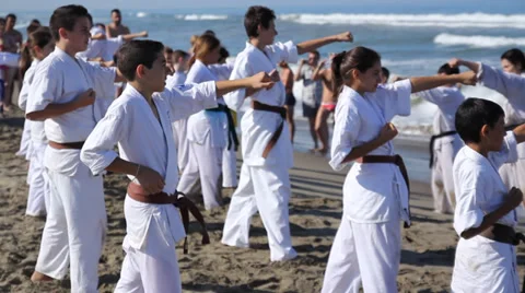 Kids practicing karate Stock Footage 27277865