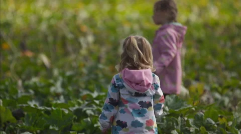 Kids in a pumpkin patch Vídeo Stock 58820693