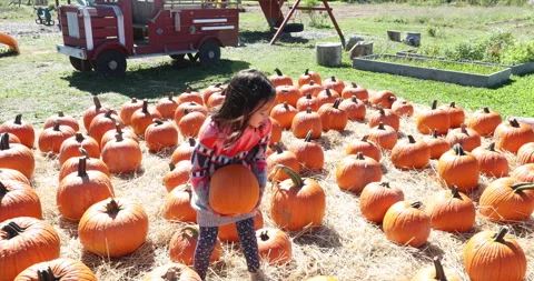 Kids with pumpkins Stock Footage 161969414