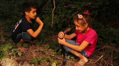 Kids release legless lizard. Exotic vet. Children want to become vet. Not snake Stock Footage 209176099