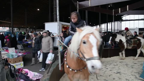 Kids Riding Ponies Midi Market Brussels Slow Motion Stockbeeldmateriaal 343546292