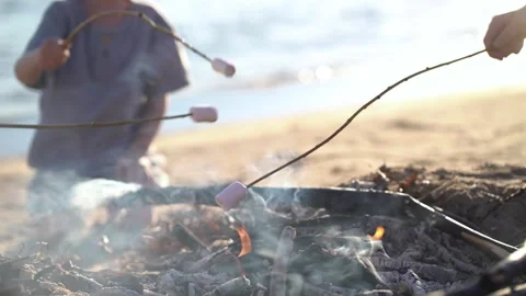 Kids roasting marshmallows over a beach campfire at sunset.  Stock Footage 341989605