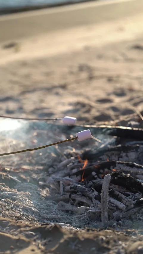Kids roasting marshmallows over a beach campfire at sunset Stock Footage 342083745