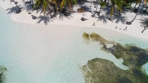 Kids run 2 Stock Footage 101745454