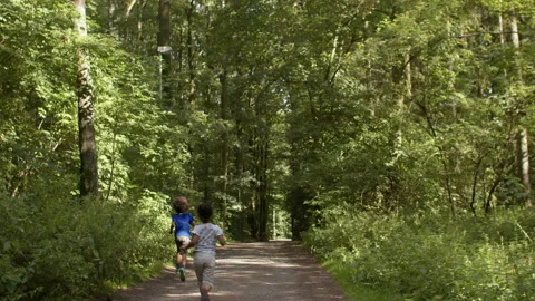 Kids run along the forest path. Brother and sister are playing catch-up. Video stock 167947442