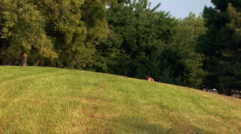 Kids running hill Stock Footage