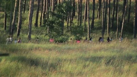 Kids running on sunset at forest Stock Footage 73192425