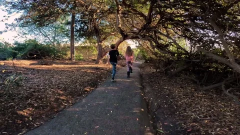 Kids running through trees Stock Footage 300194015