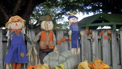 Kids Scarecrow Family on Wooden Fence Stock Footage