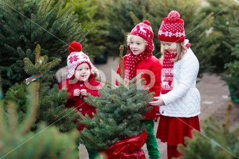 Kids selecting Christmas tree. Xmas gifts shopping. Stock Photos