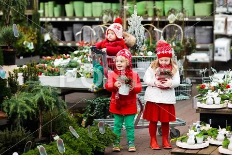 Kids selecting Christmas tree. Xmas gifts shopping. Stock Photos