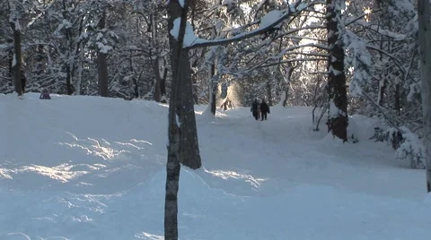 Kids Sledding Stock Footage 44781371