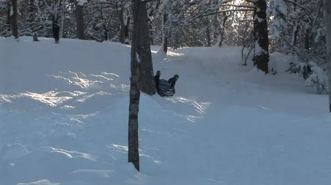 Kids Sledding Stock-Footage 44781533