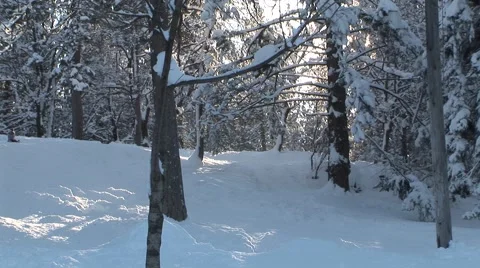 Kids Sledding Stock Footage 44781738