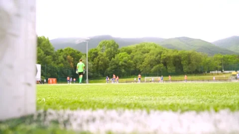 Kids Soccer Team Practicing on Blurred Football Field Empty Space for Text Stock Footage 306669283