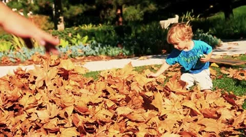 Kids throw Fall leaves2-MVI 6365 Stock Footage 9282130