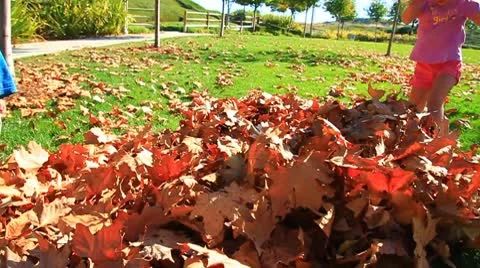 Kids throw Fall leaves2-MVI 6420 Stock Footage 9282504