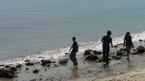 Kids throwing rocks Stock Footage 8850268