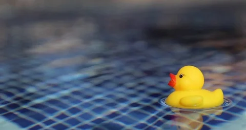 Kid's toy plastic dunk floating in the pool Video stock 100166586