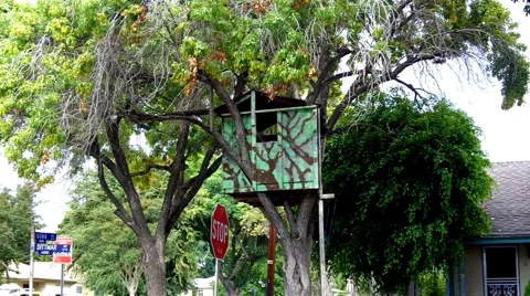 Kid's Tree House 2 Stock Footage