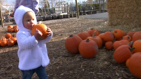 Kids in wagon at pumpkin patch 库存影片 32706244