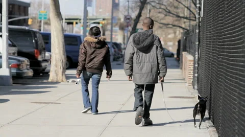 Kids Walk Dog Harlem NYC Black Children New York Urban Inner City Neighborhood Stock Footage