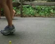 Kids Walking with Guide Rope SD Footage