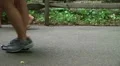 Kids Walking with Guide Rope HD Footage