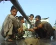 Kids Washing themselves at Refugee Camp SD Footage